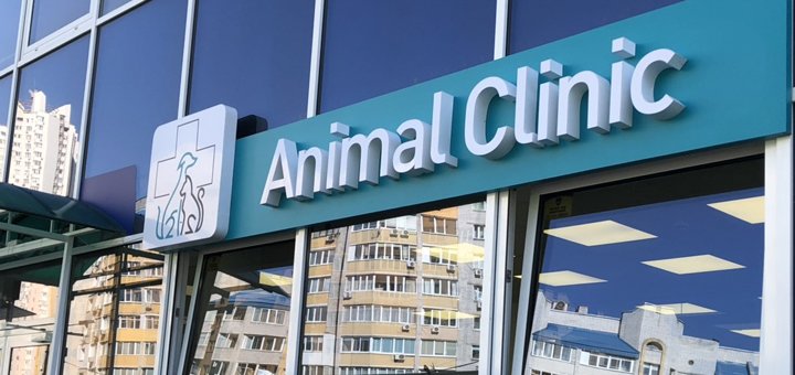 Ветеринарна клініка "Енімал-клінік" у Києві. Записуйте тваринку за акцією.