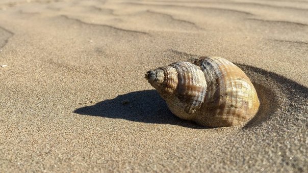 Відпочинок на Чорному морі в пансіонаті «Олімп» в Коблево. Замовляйте зі знижкою.