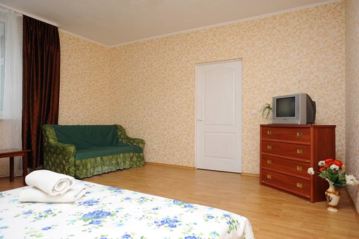 One-room apartment with a bed and a sofa &quot;wellcome-24&quot; in kiev. rent at a discount.