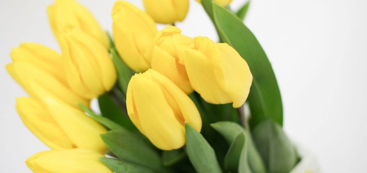 Доставка квітів поштучно «kievflower» по україні зі знижкою
