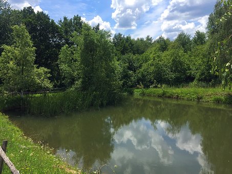 Природа біля бази відпочинку «Blagodat» у Анталівцях на Закарпатті. Відпочивайте зі скидками.