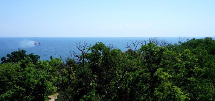 The view from the window of the hotel "Black Sea Park Shevchenko". Come with a discount