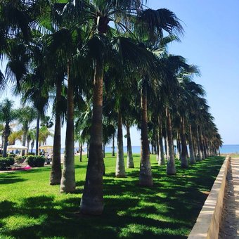 море Турів