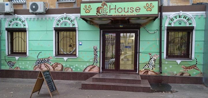 До 60 хвилин відвідування котейні «cat house» 3