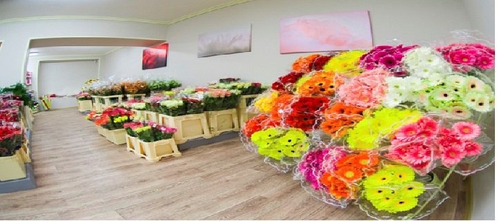 Shop Vase. Order unforgettable bouquets at a discount