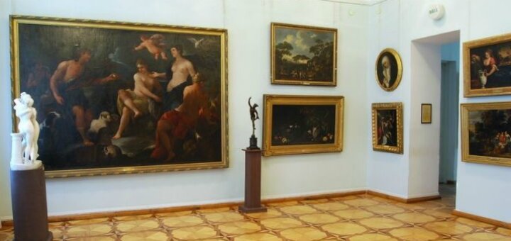 &quot;sumy art museum named after nikanor onatsky&quot;