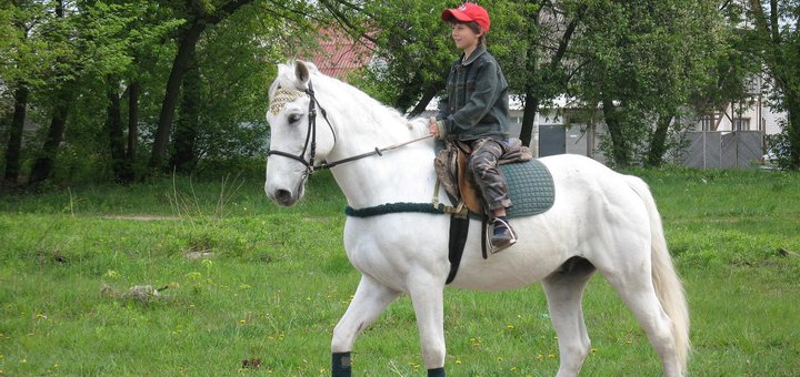 Horseback riding in the voyage-1 equestrian club