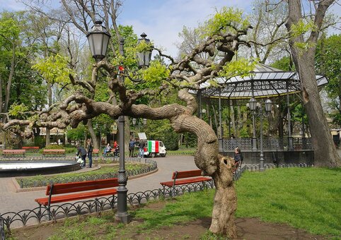 &quot;odessa city garden&quot;