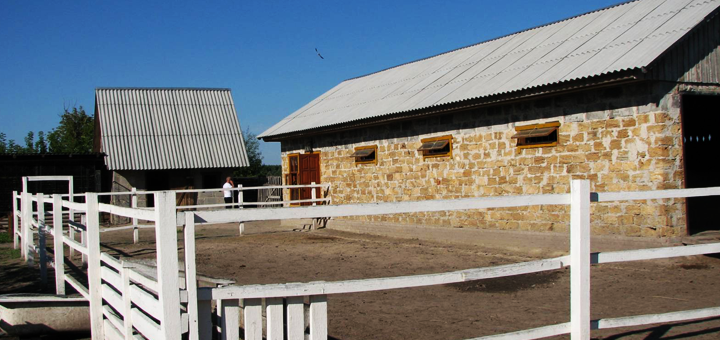 Discounts and promotions for rest in the eco-complex. book on promotion1