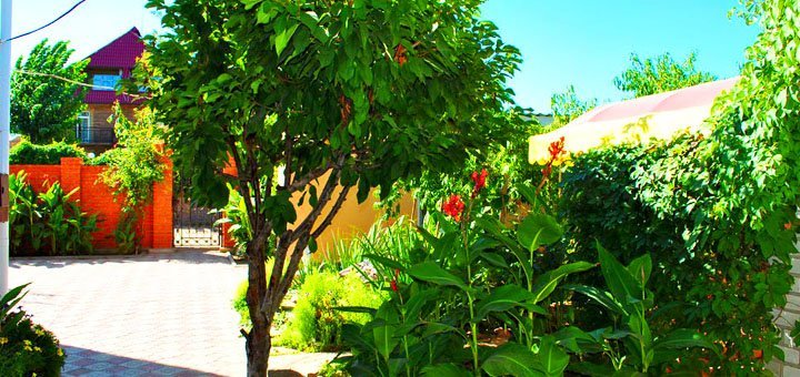 Garden on the territory of the vlada boarding house in the iron port. book rooms for the promotion.