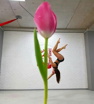 Pole Dance у студії «Леді Мармелад» у Кривому Розі. Записуйтесь по акції.