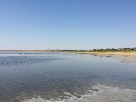 Пляж куяльник в одесі. відпочивайте по сертифікату
