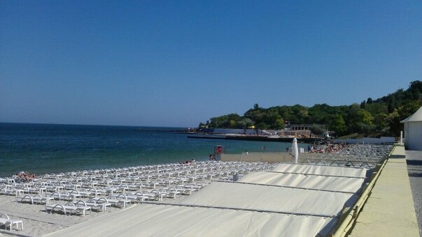 Dolphin beach in odessa. relax by certificate