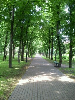 Парк «Куреневский» Киев