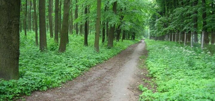 «ботанічний сад поділля» вінниця