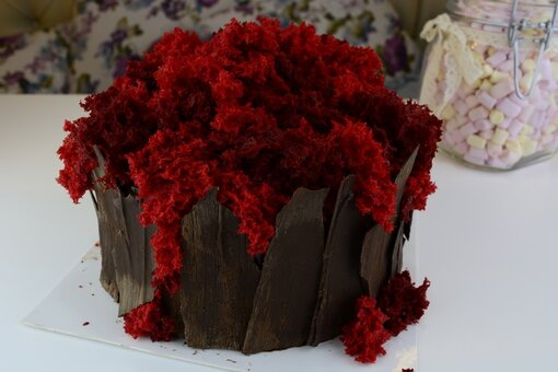 Cakes to order in the madlen cafe confectionery in kiev. order at a discount.