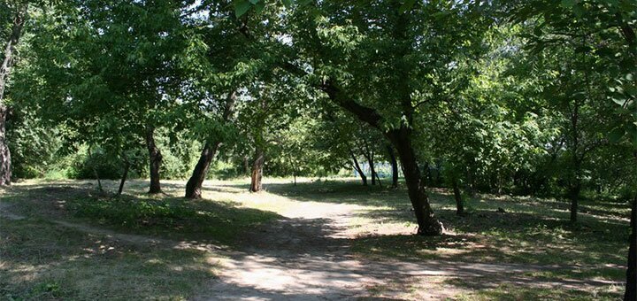 Discounts for renting gazebos in obolonsky bay10
