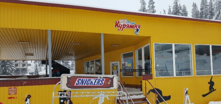 Низкие цены кафе «Курятня»