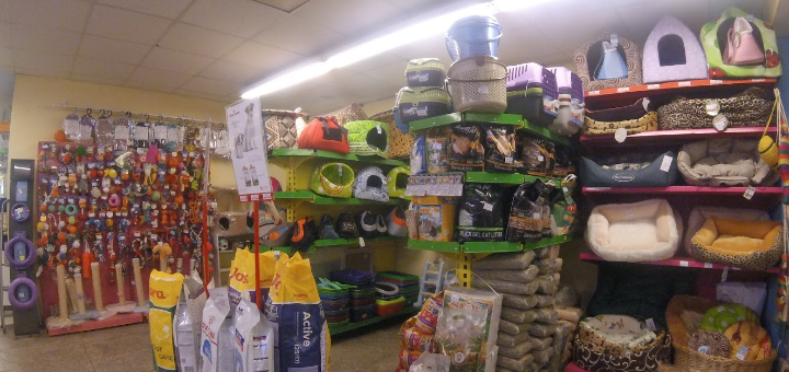 Pet shop eurozoo kharkiv