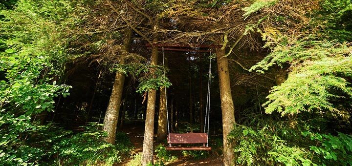 Скидки на отдых в отеле Forest House Exclusive14