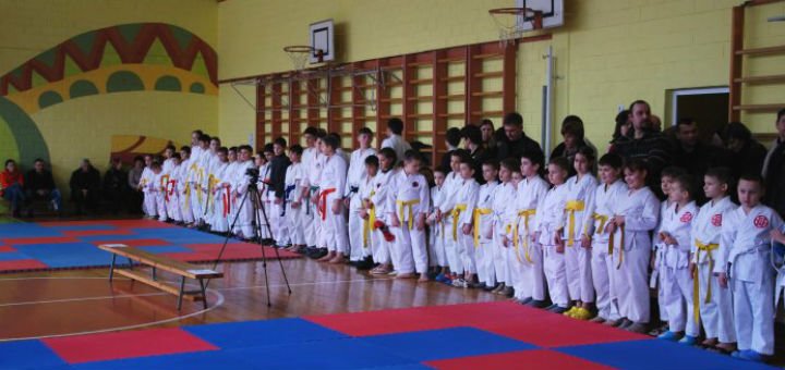 Українська федерація бойових мистецтв у києві. записуйтеся на карате сінгітай будо кобудо по знижці.