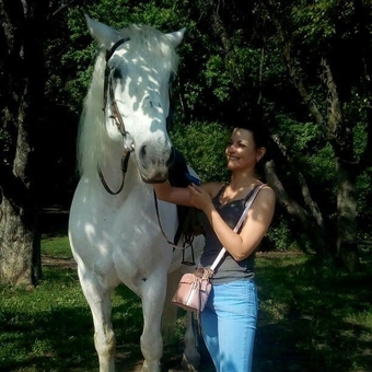 Кінний клуб Мустанг в Харкові. Низькі ціни.