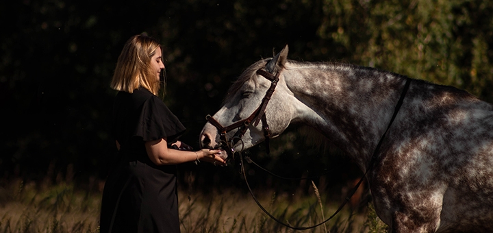  кінний клуб Family_horse_club акція