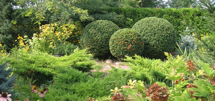 Author's garden of Svetlana Kulbashnaya 2