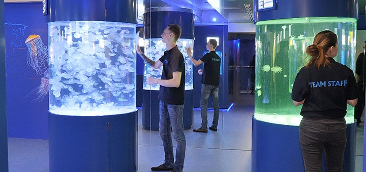 Музей Медуз в Киеве, акции