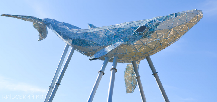 Kyiv Whale