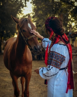 Кінний клуб Horsecamp 4