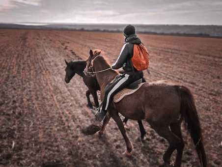 Кінний клуб Horsecamp 8