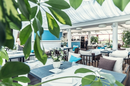 Ресторан Атмосфера в Киеве 7