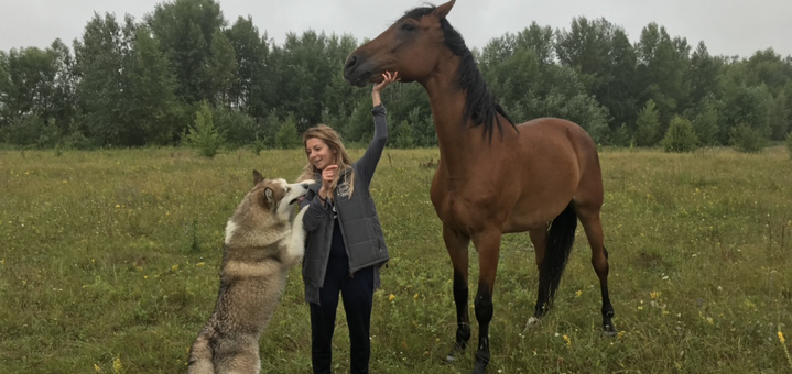 Заміський комплекс Будинок Хаскі. Відпочивайте зі знижкою 46