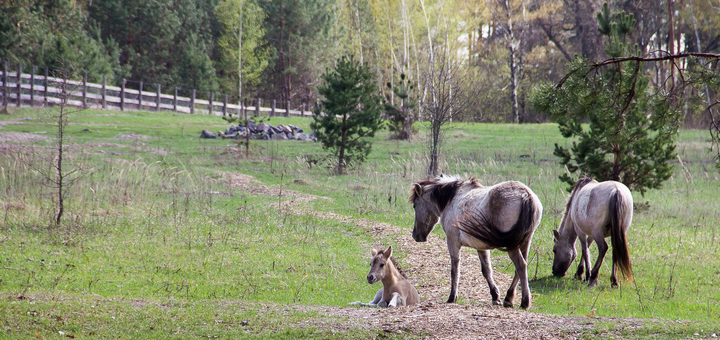 Beremitskoe Nature Park. Visit with the 24 promotion