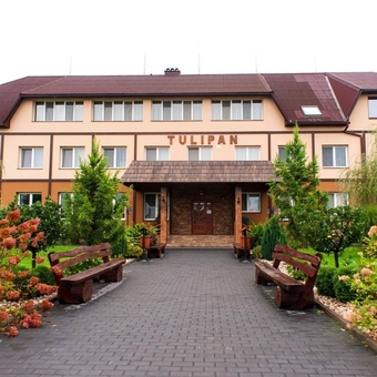 Hotel Tulip in Zakarpattia. Rest on the promotion 38