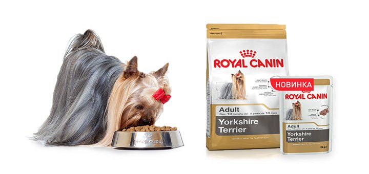 Корм для вашої собаки «Royal Canin» по знижці