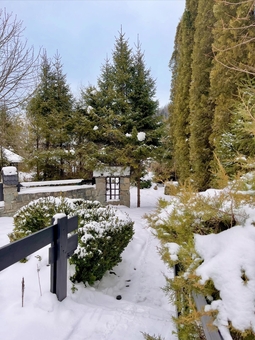 Парк-готель Svyat. Бронюйте за акцією 27