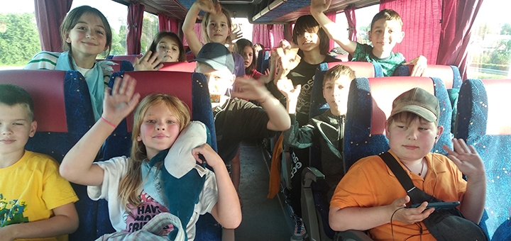 Forest Life Children's Camp. Visit with special offer 26