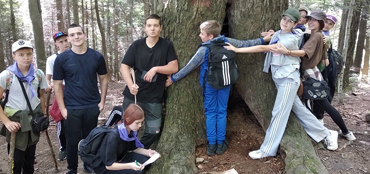 Forest Life Children's Camp. Get a 30% discount.