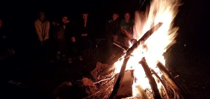 Forest Life Children's Camp. Visit with a 35% discount.