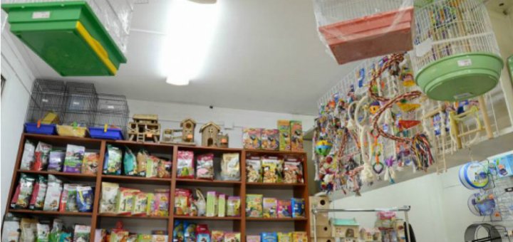 Акції в магазині «Товари для тварин»