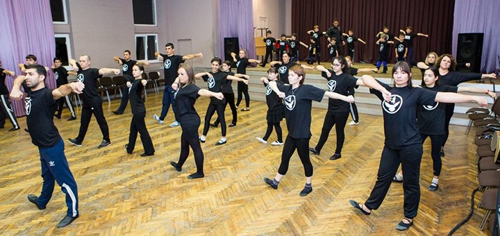 &quot;school of caucasian folk dances&quot; visit according to action 2