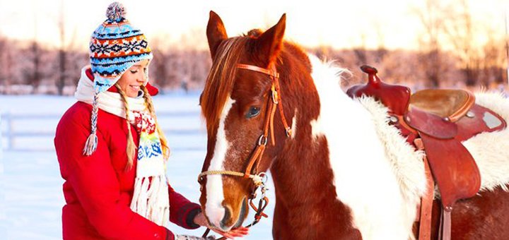 Discounts in the horse yard 2