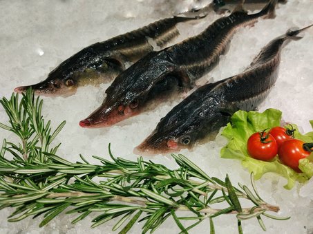 Fish shop-restaurant &quot;flagman&quot;. discounts on dishes
