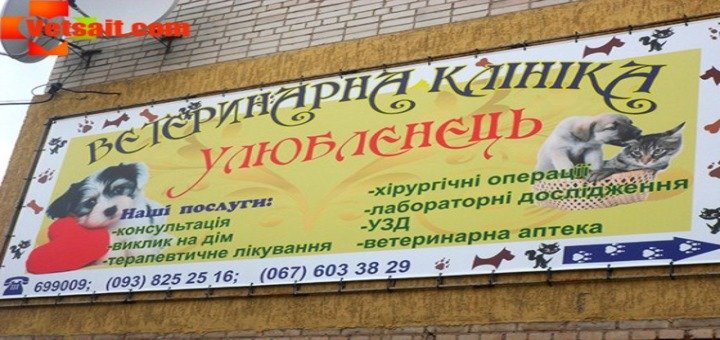 Ветеринарная клиника «Любимец». Лечите животных со скидкой