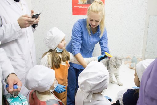 Майстер-клас з ветеринарії для дітей у ветеринарному центрі «Прохвіст» у Дніпрі. Бронюйте по знижці.