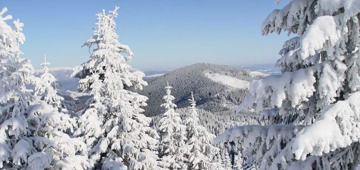 Discounts for rest in the hotel "Karpatski Rosi" in Yaremche11
