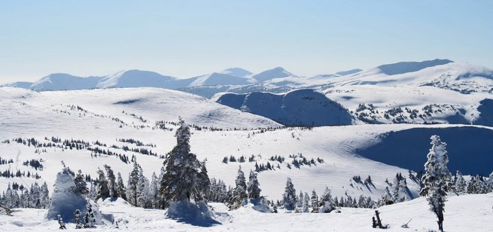 Discounts for rest in the hotel "Karpatski Rosi" in Yaremche14