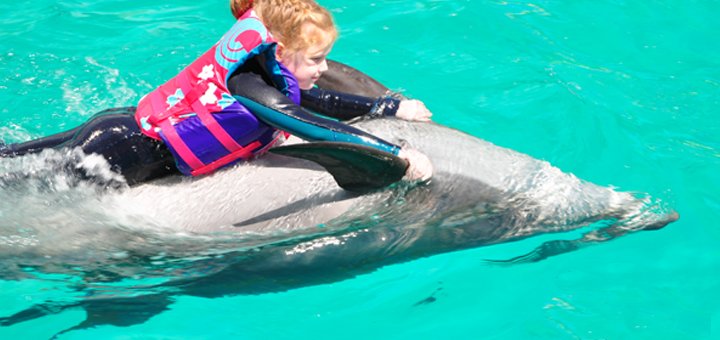 Купание с дельфинами для детей в дельфинарии «Немо». Покупайте скидки.